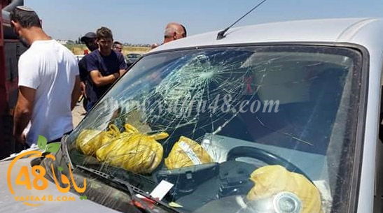 sha7en lud markaba (4).jpg